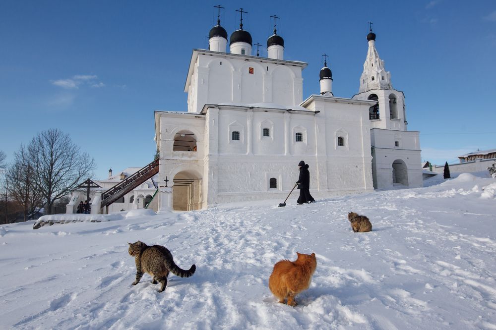 Photograph by Диана Александровна