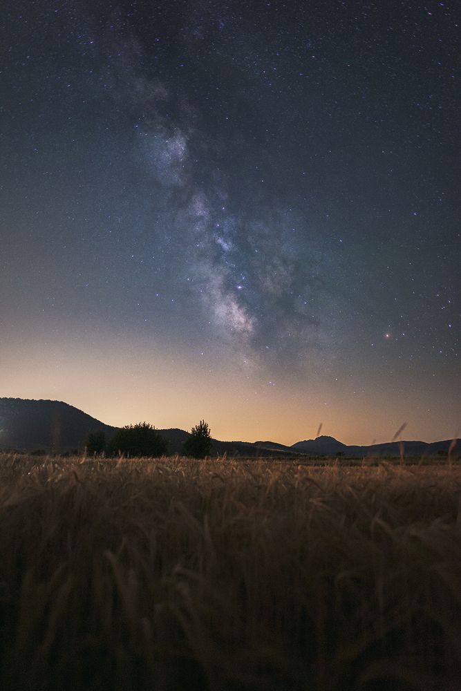 Photograph by Manuel Escuder Gual