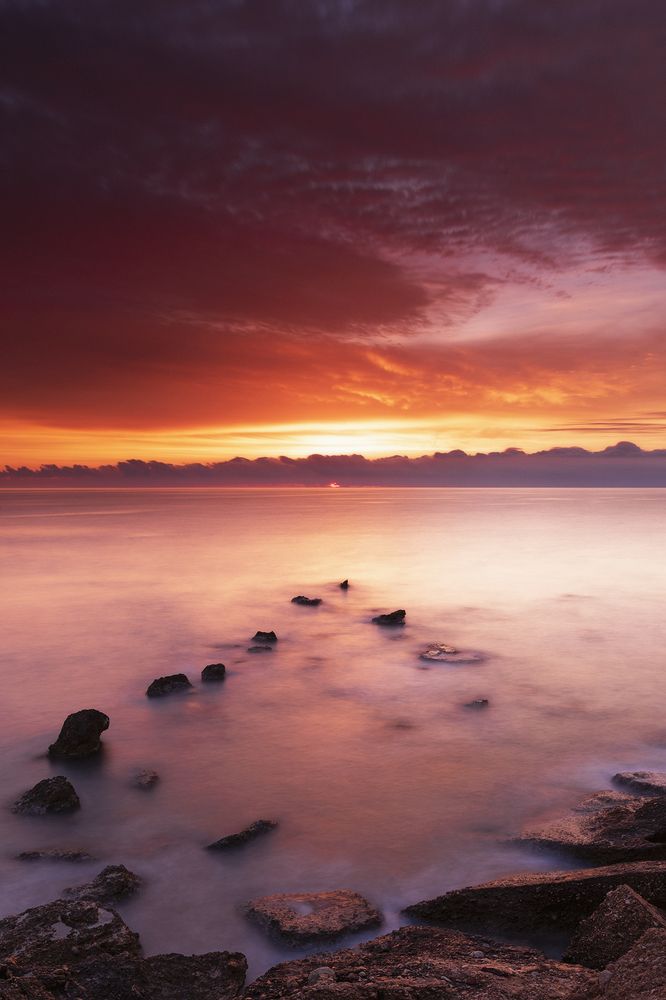 Photograph by Manuel Escuder Gual