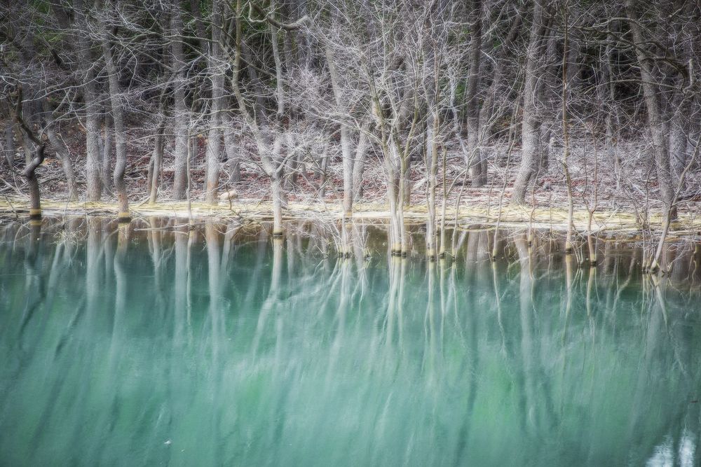 Photograph by Manuel Escuder Gual