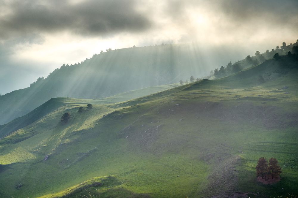 Photograph by Леонид Синев