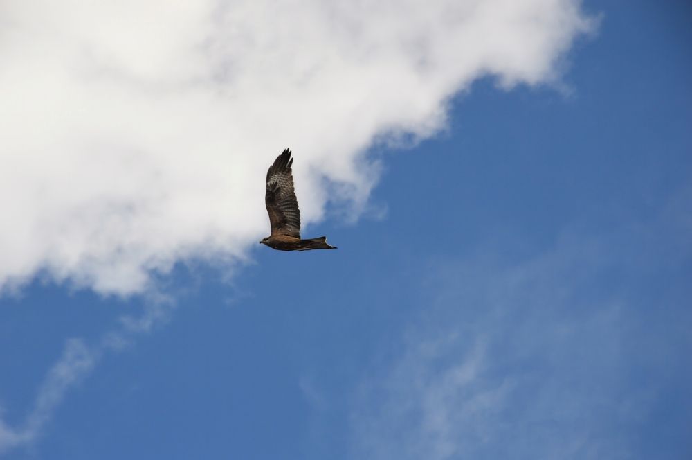 Photograph by Nadezhda