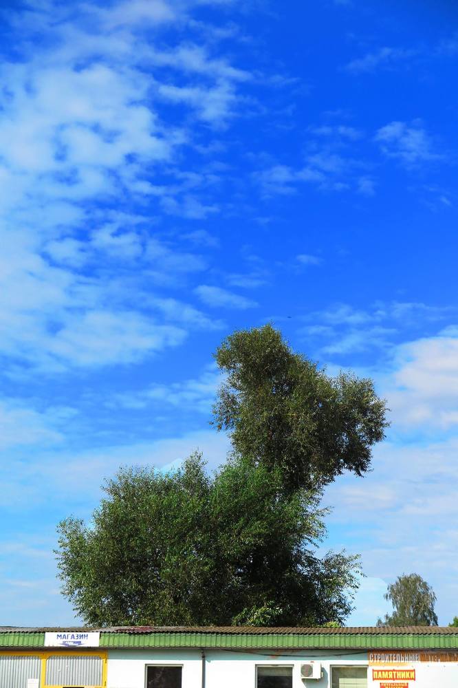 Photograph by Наталья