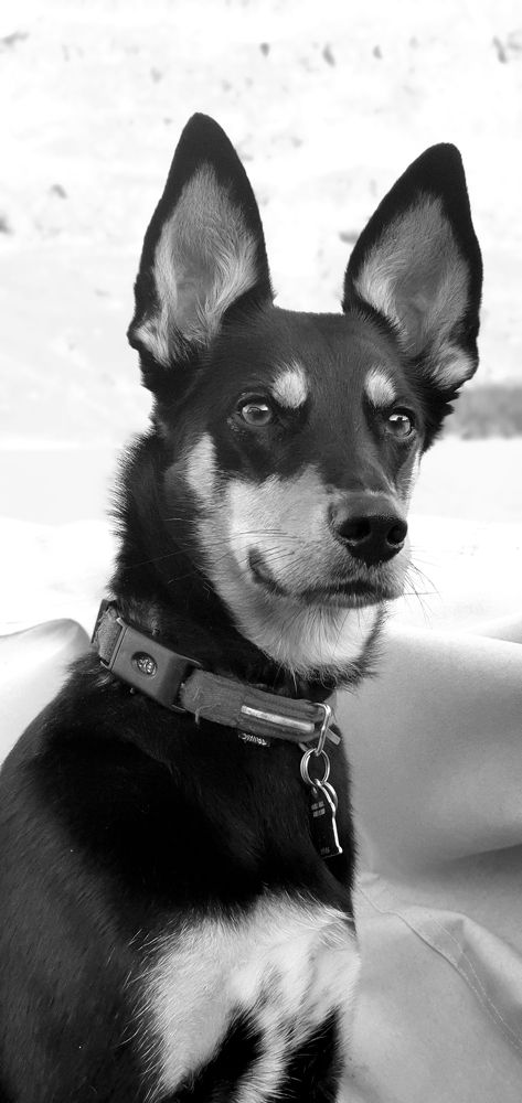 Photograph by Elisabeth Vinther