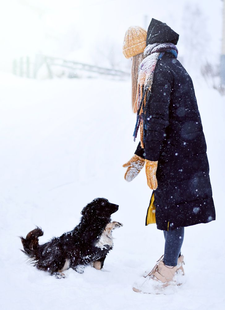 Фотография автора Екатерина Шаманаева