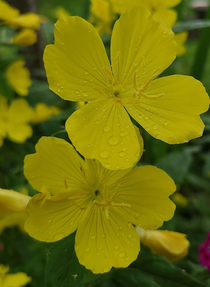 Photograph by Екатерина Кузьмина