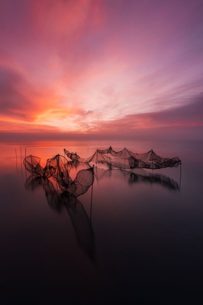 Photograph by Ferran Claudin