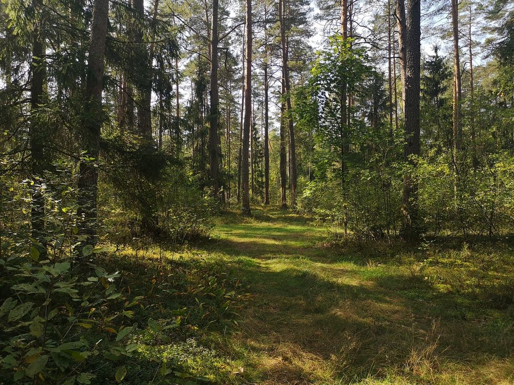 Photograph by Екатерина Кузьмина