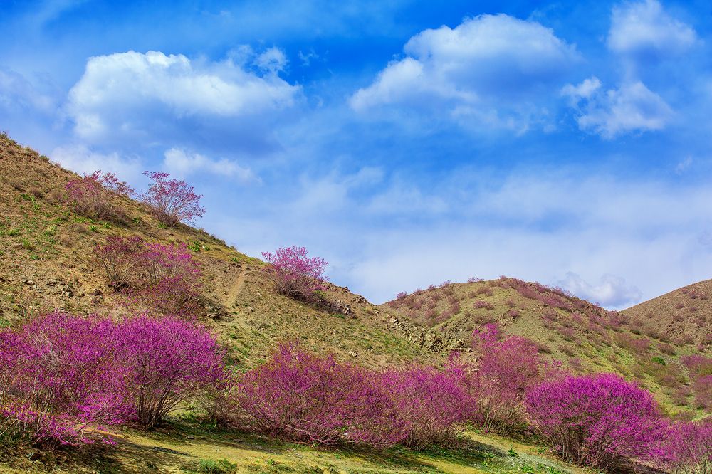 Photograph by Hengameh pirooz