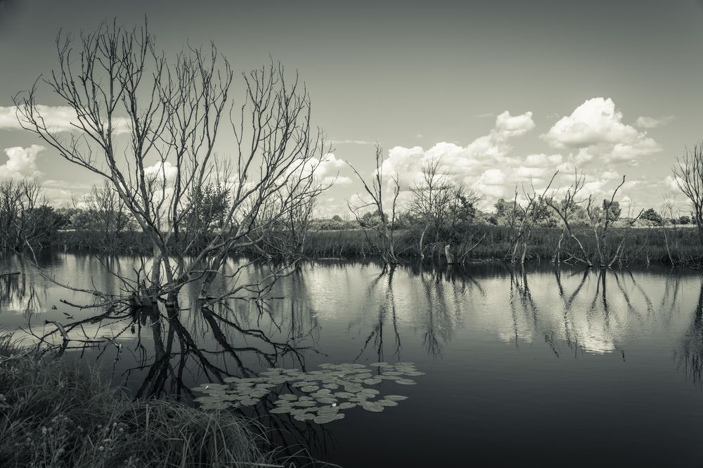 Photograph by Стариков Алексей