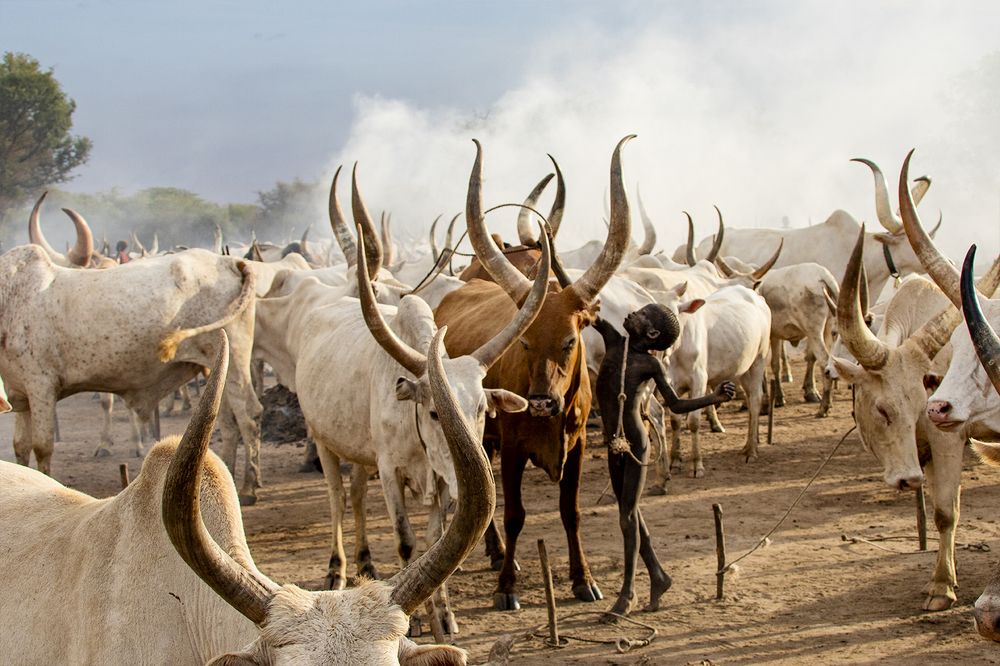 The children of Mundari, SOUTH SUDAN 2021