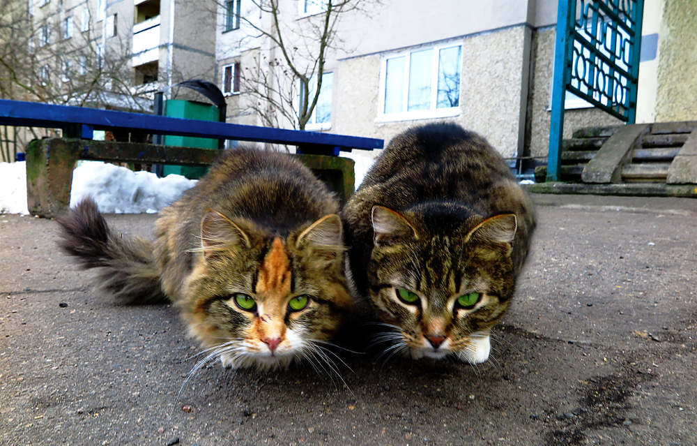 Photograph by Наталья