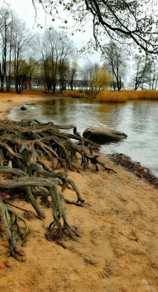 Photograph by Надежда Кудрявцева