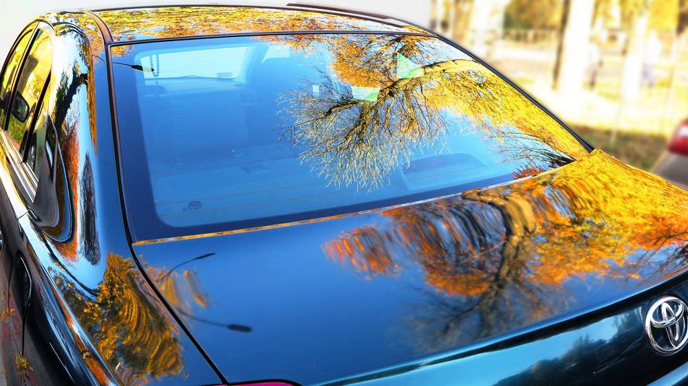 Photograph by Наталья