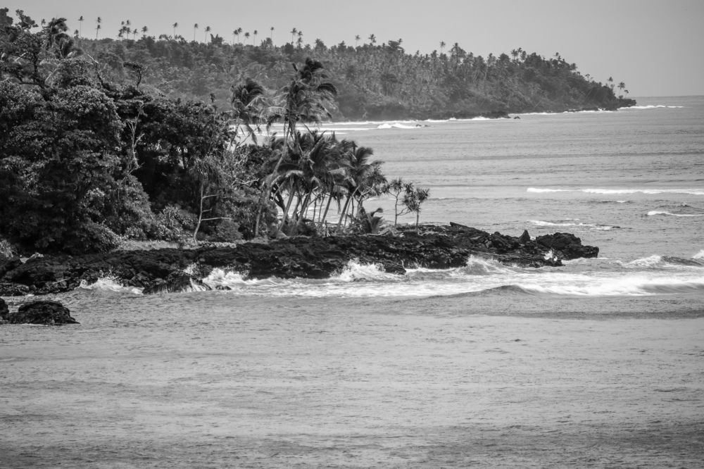 Photograph by Reenum Gounden