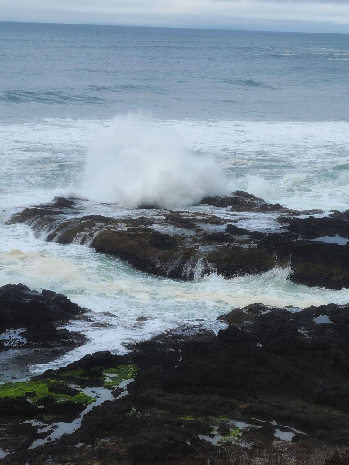 Photo #7377282