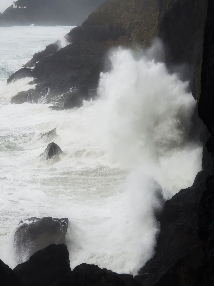 Photo #7377298