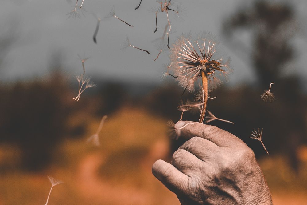 Photograph by Radoslav Bonev