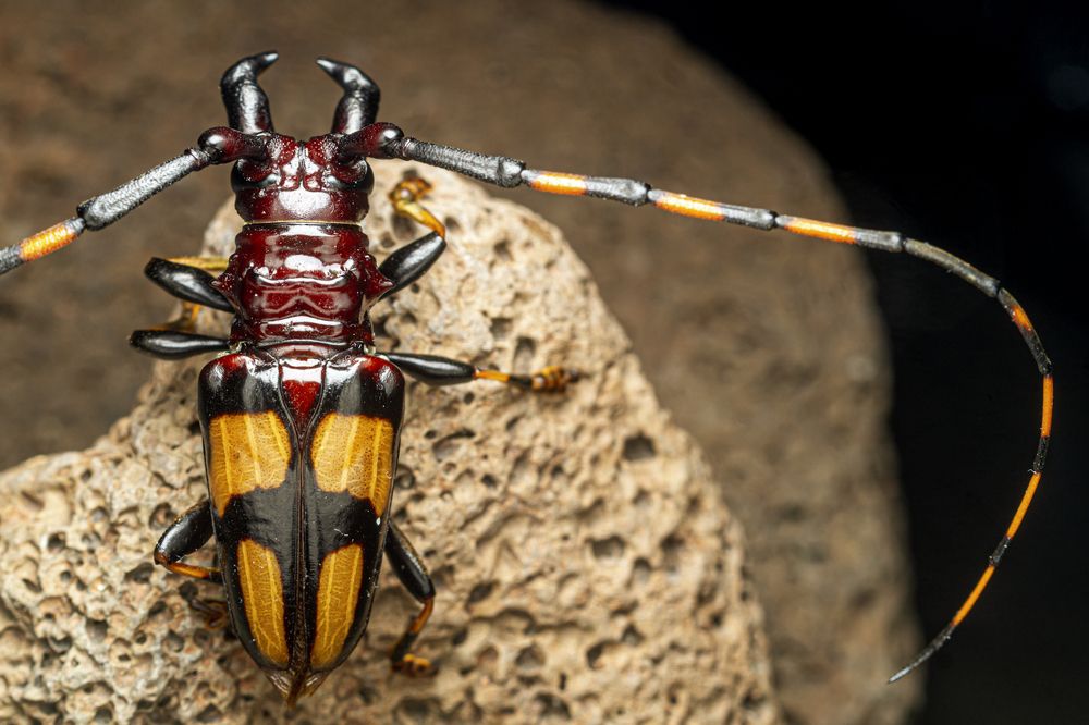 Photograph by Jose Martin Ceja Medina