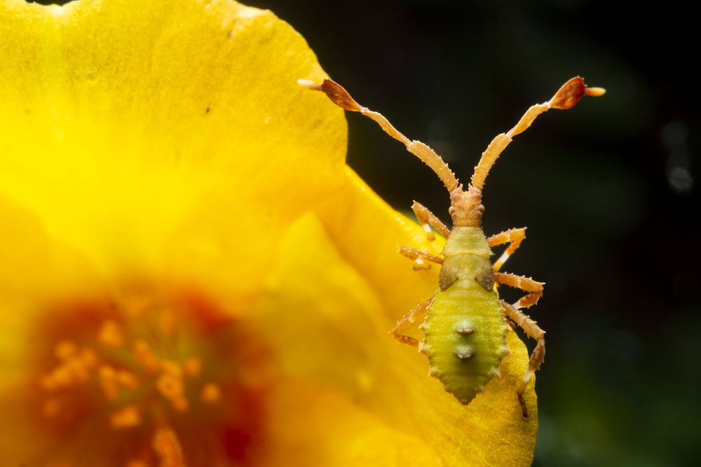 Photograph by Jose Martin Ceja Medina