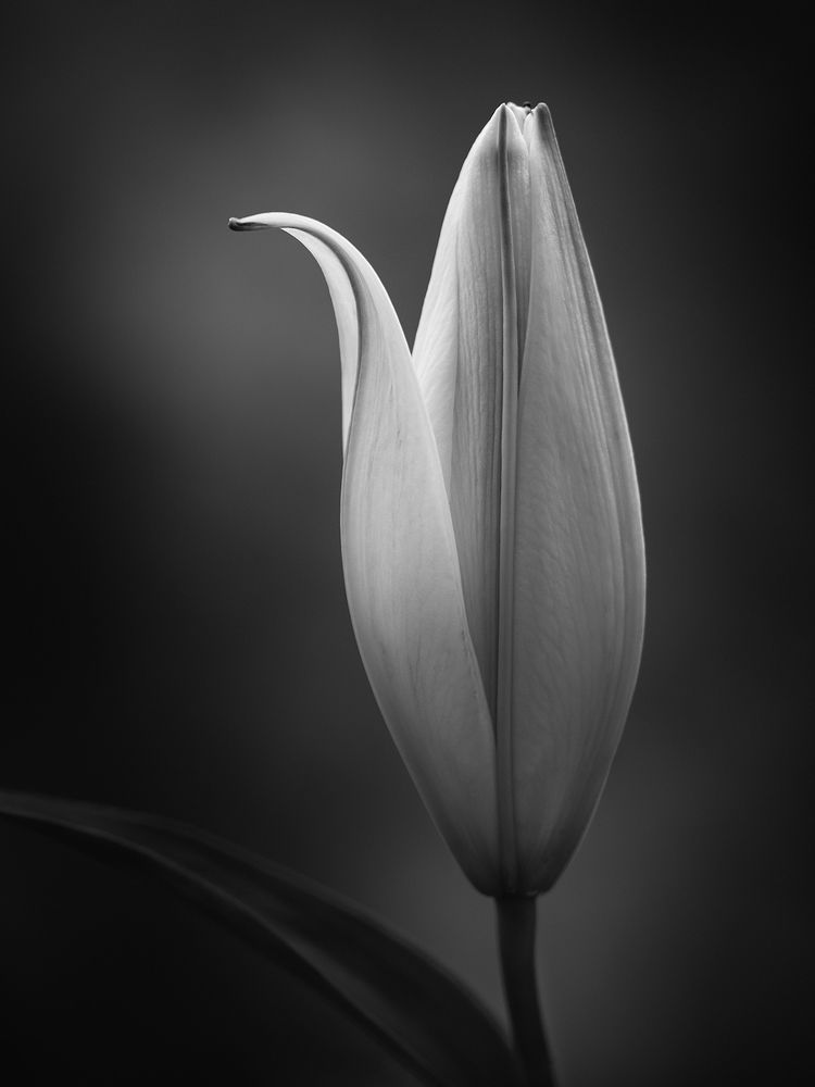 Photograph by Anja Vogel