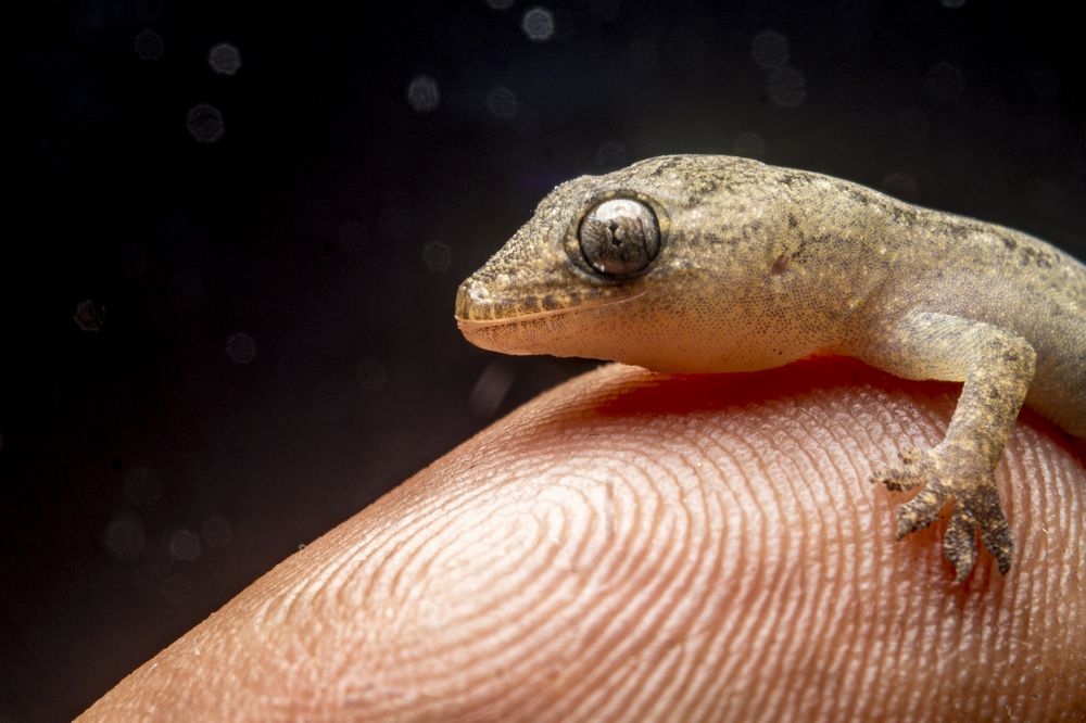 Photograph by Jose Martin Ceja Medina