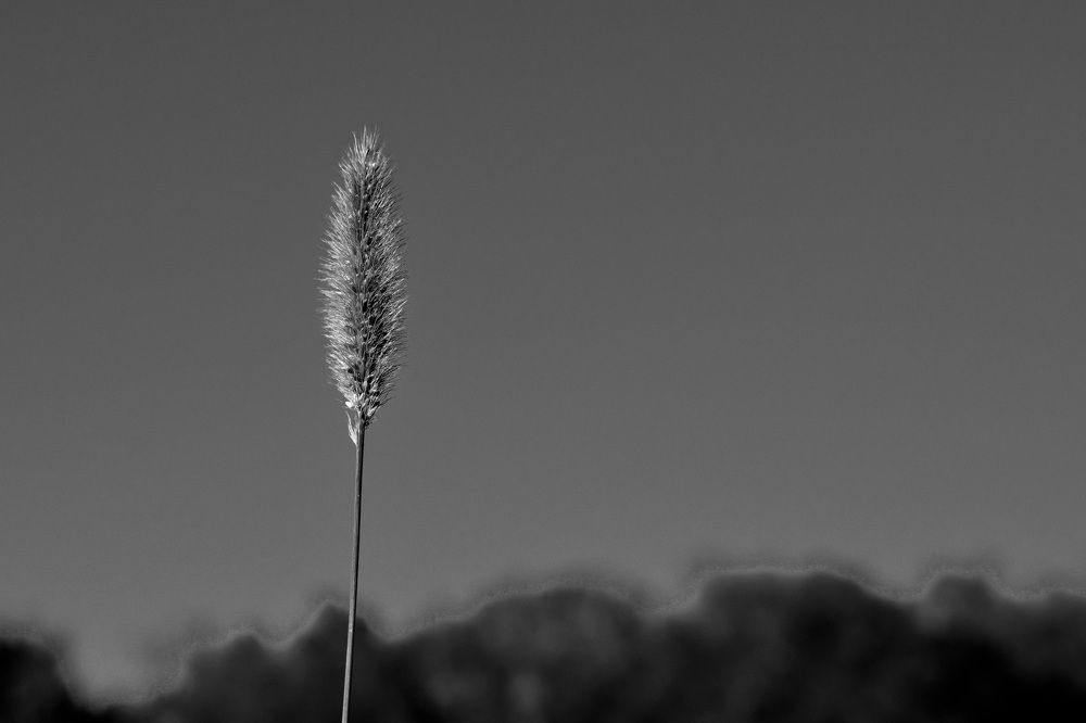 Photograph by Елена Ласун