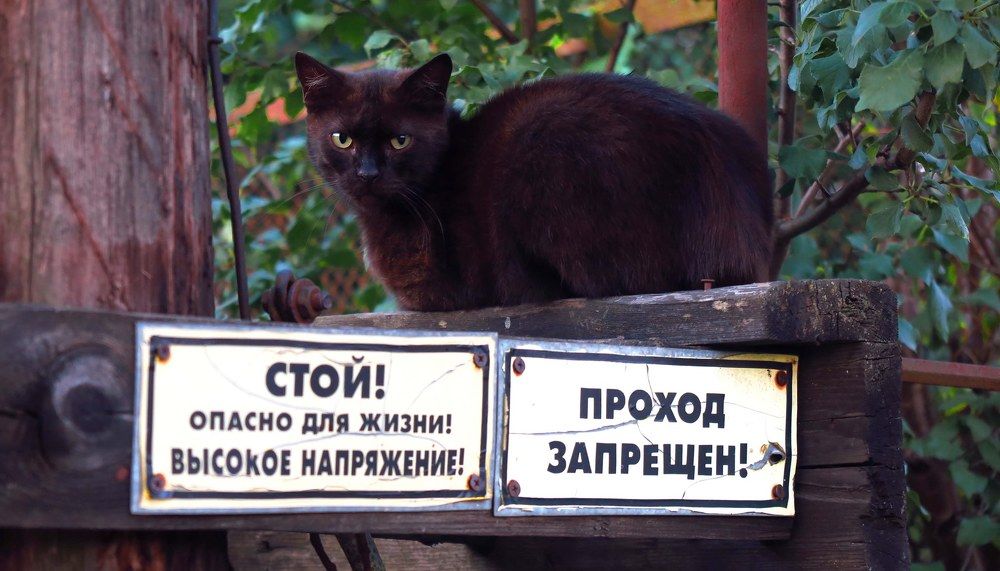 Photograph by Наталья