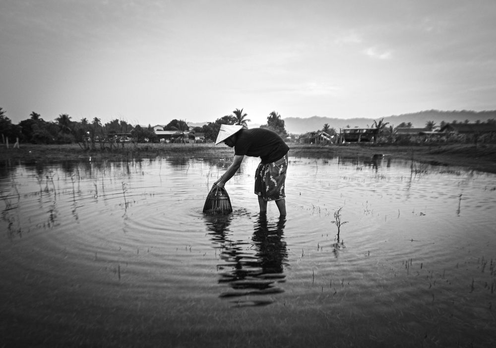 Photograph by Muhammad adha Abd ganhi