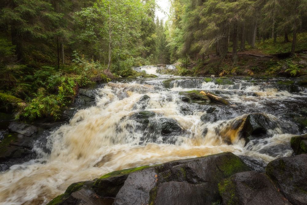 Photograph by Евгений Волосков
