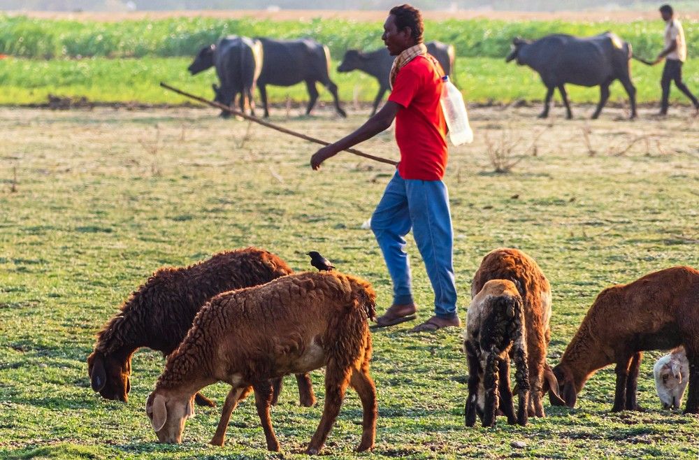 You take care of yours & I take care of mine...