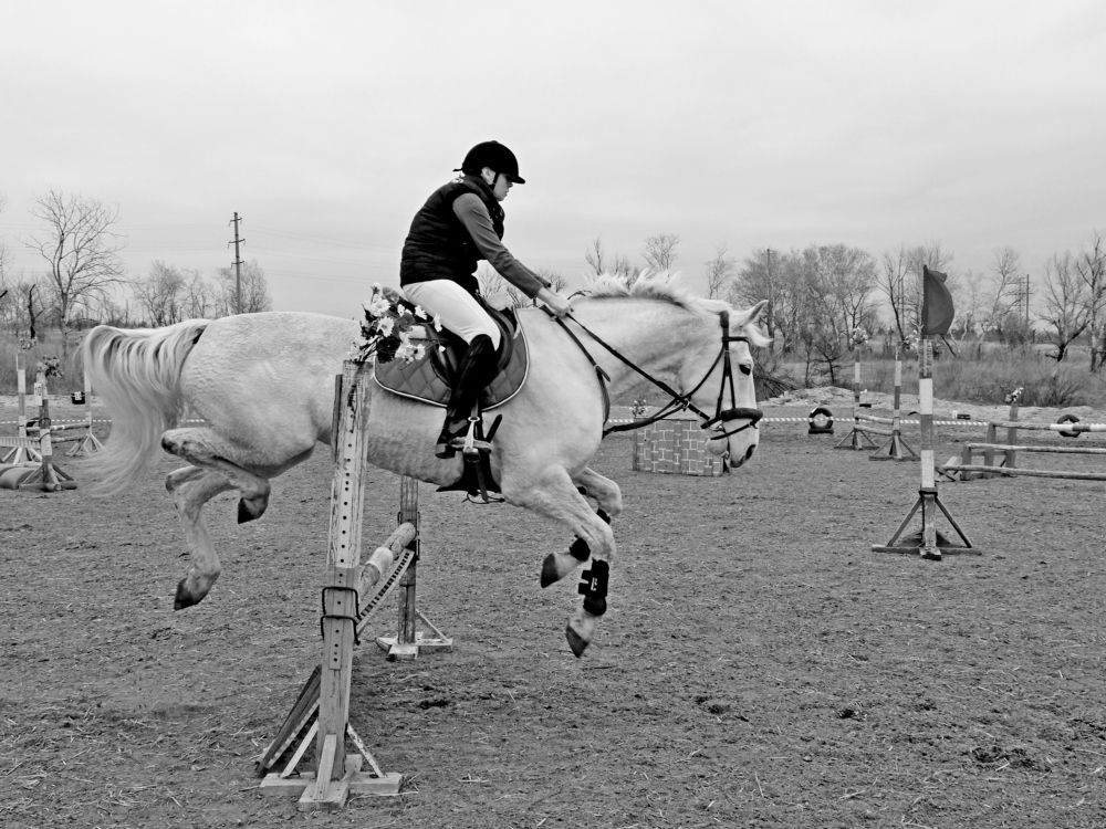 Photograph by ,Бурова Лариса