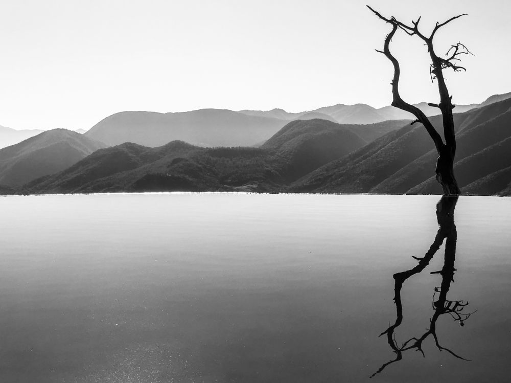 Photograph by Rodchenkov Timofey