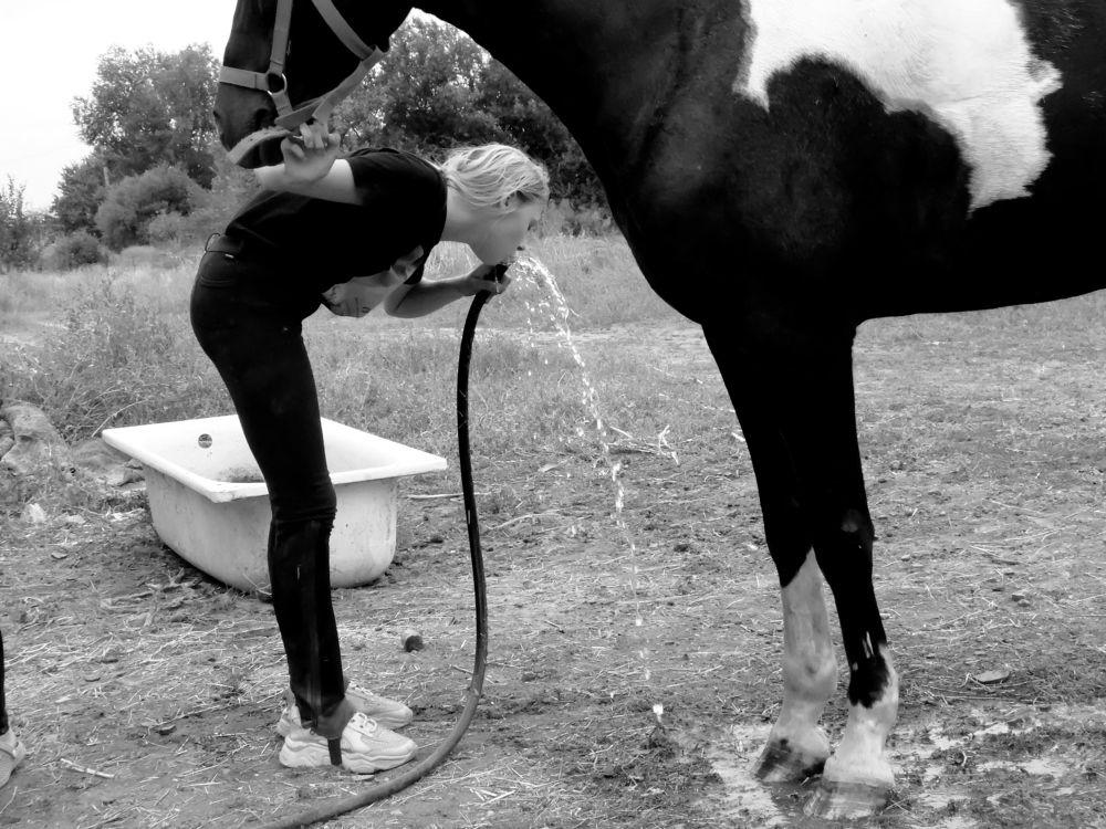 Photograph by ,Бурова Лариса