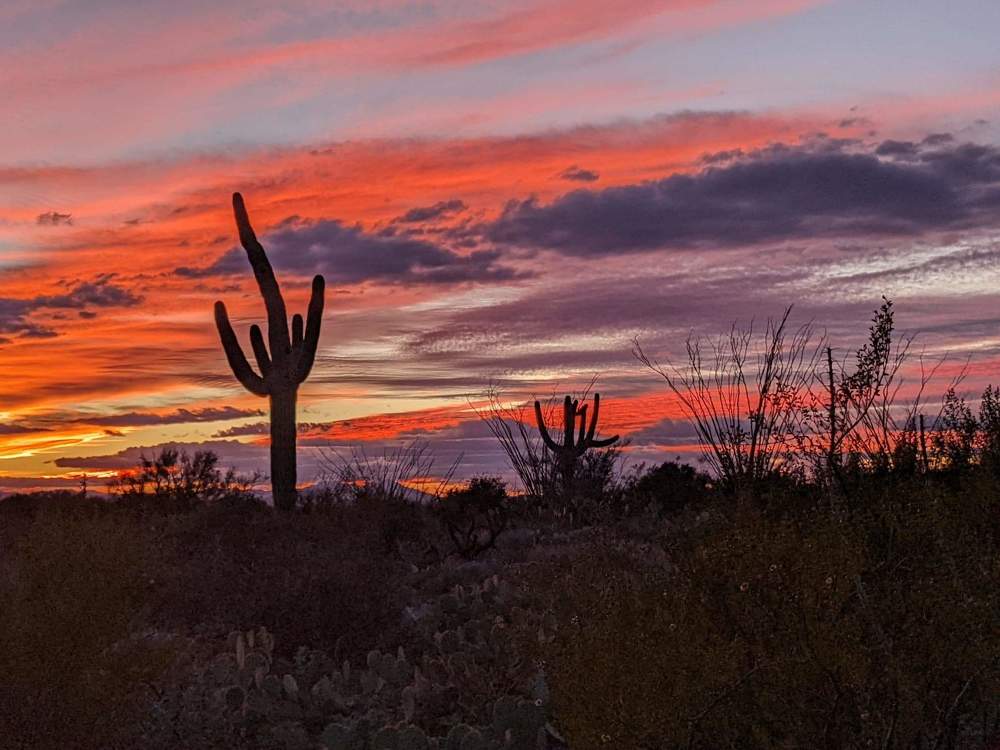 Photograph by Sudipta RAKSHIT
