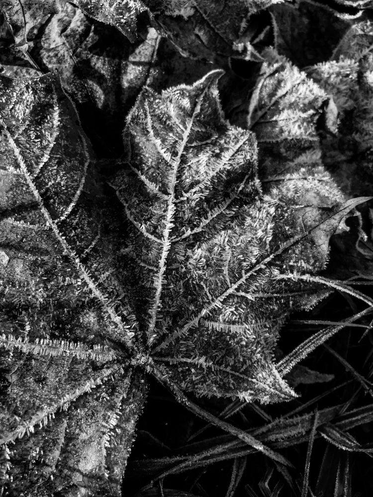 Photograph by Rodchenkov Timofey