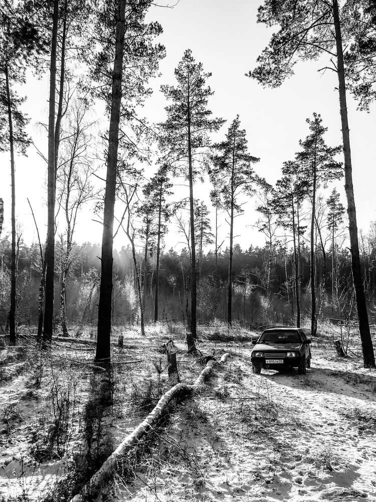 Photograph by Rodchenkov Timofey