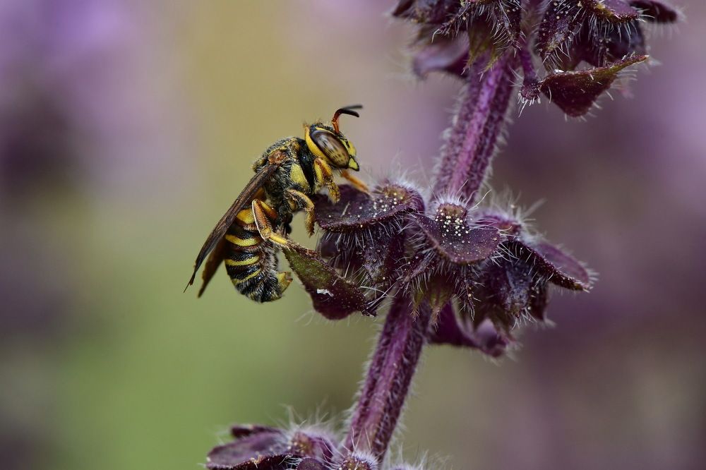 Photograph by Moura Denis