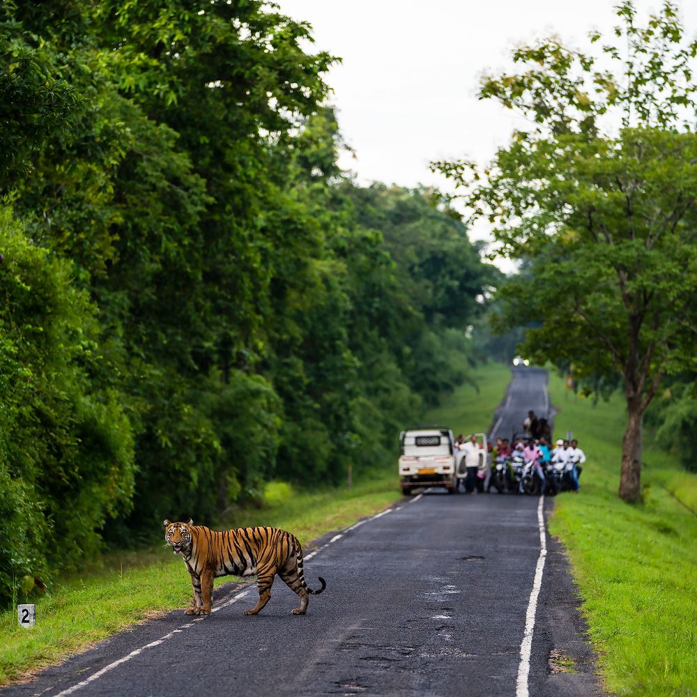 Photograph by Ayan Bhattacharya