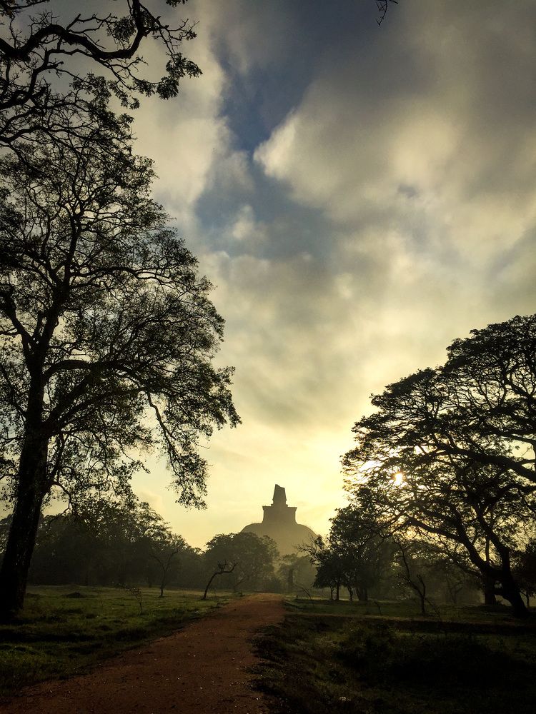 Photograph by Kavin sandaruwan