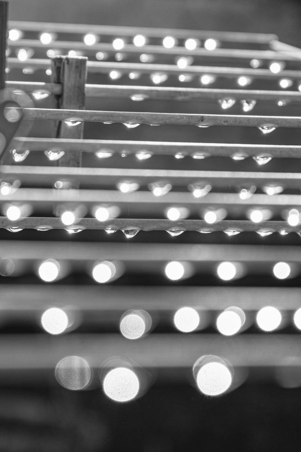 clothesline with dew drops