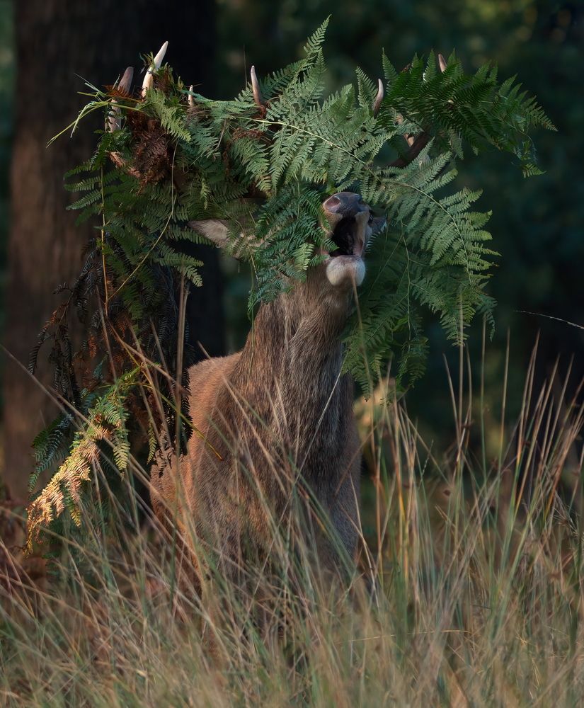 Фотография автора Kowalski Jaroslaw