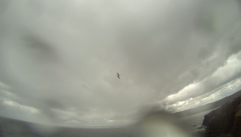 Фотография автора Carolina Mellado