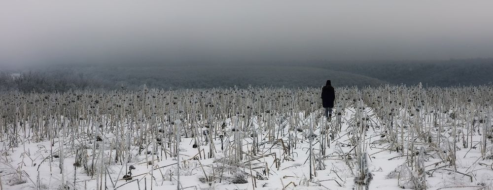 Photograph by Андрей Грешнов