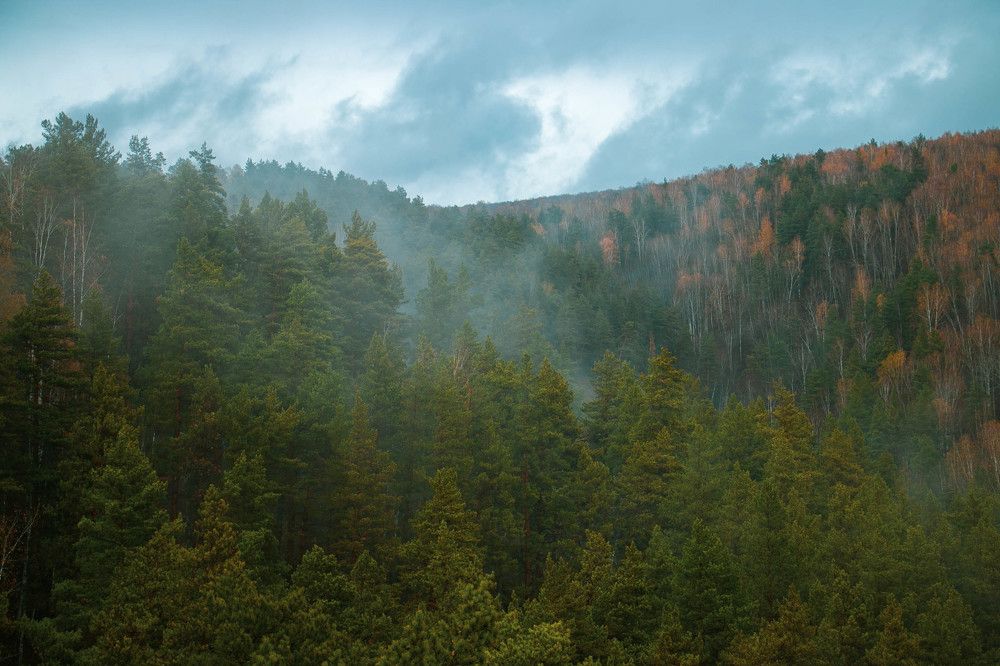 Photograph by Татьяна Ярмак