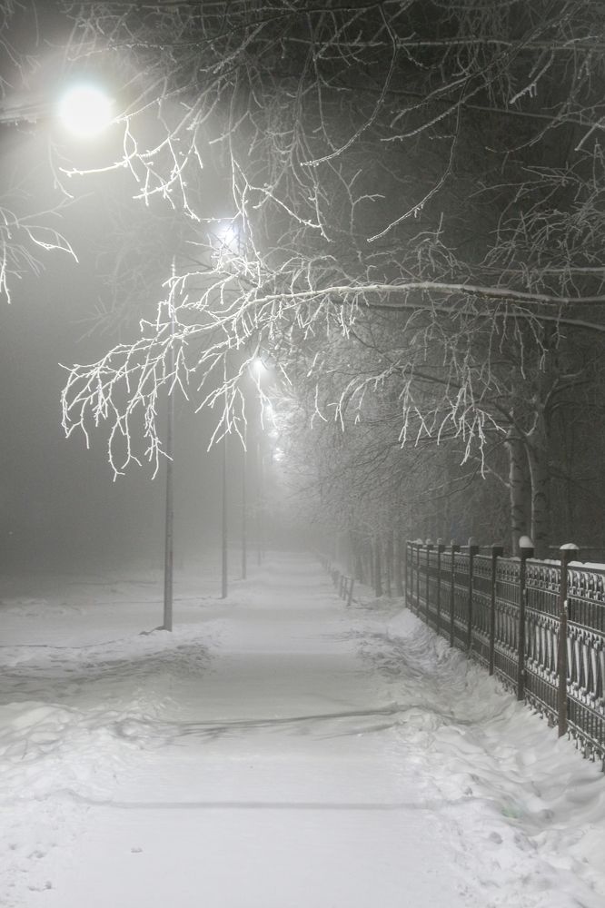 Photograph by Анна Дорофеева