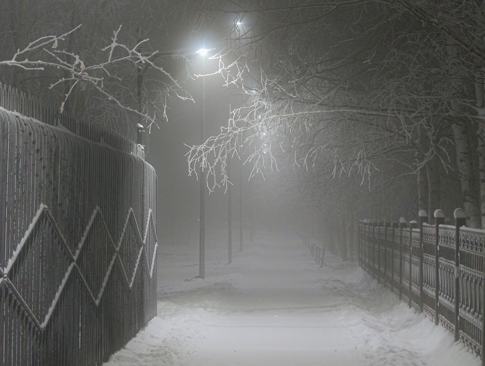 Photograph by Анна Дорофеева