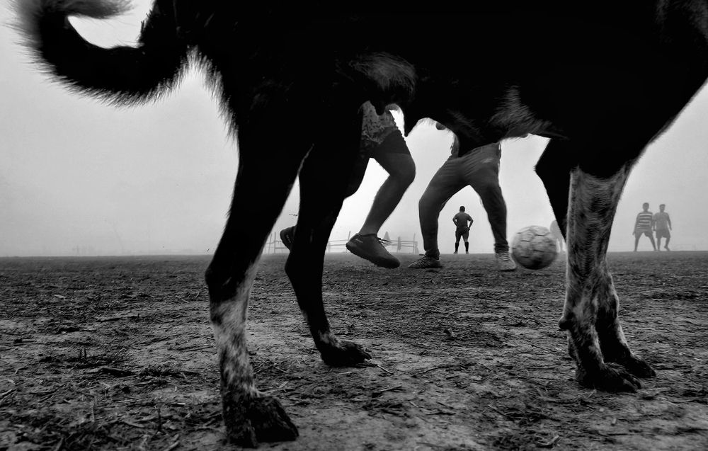 Photograph by Kolkatar Chobiwala