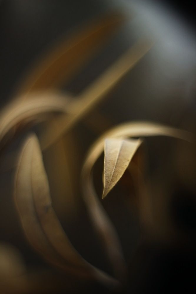 Photograph by abolfazl shahmiry