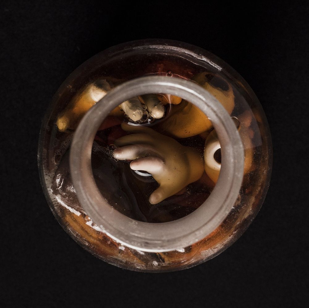 Dolls still life project